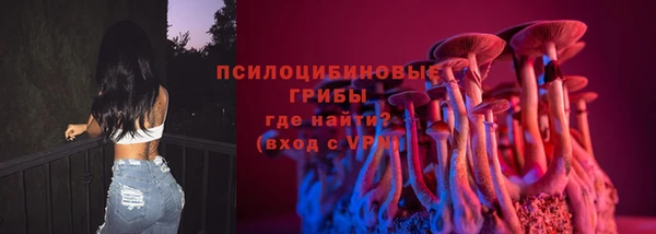 mdpv Осинники