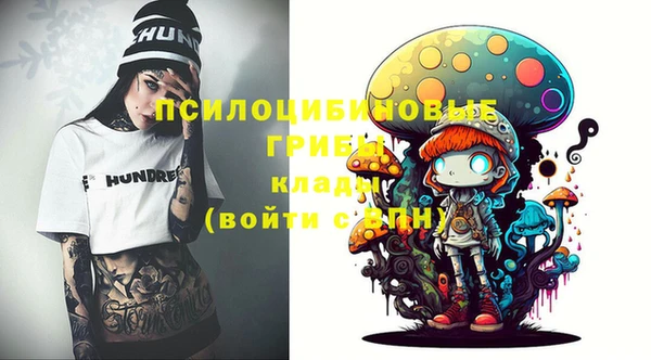 МДПВ Осташков